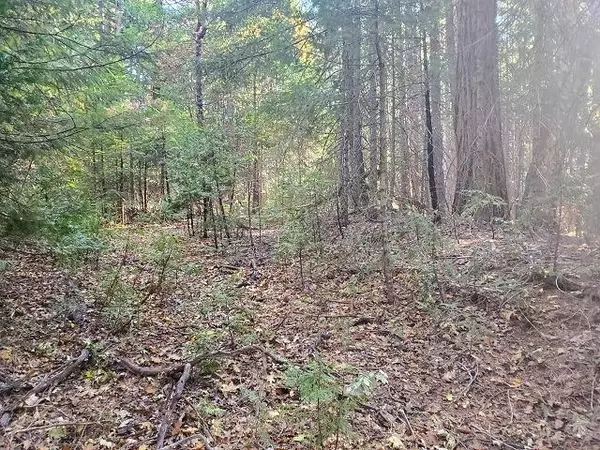 Nevada City, CA 95959,18076 Cruzon Grade RD