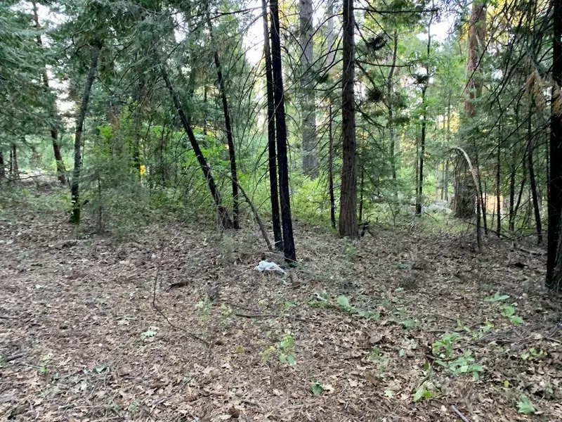 5411 Shangrala LN, Camino, CA 95709