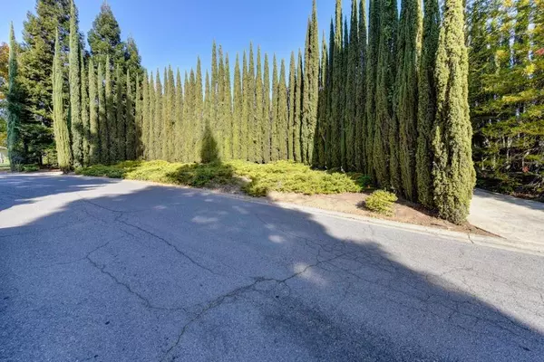 Fair Oaks, CA 95628,6010 Long Acres CT