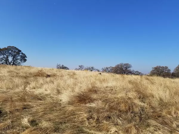 9699 Paraiso, La Grange Unincorp, CA 95329