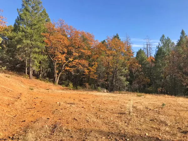 0 Holland Drive, Placerville, CA 95667