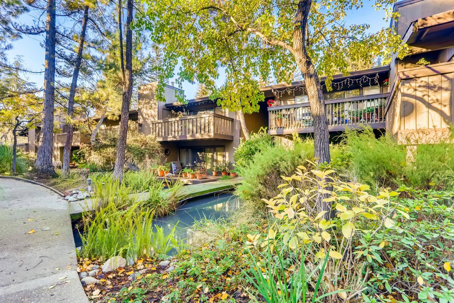 Sacramento, CA 95825,2438 Larkspur LN #297