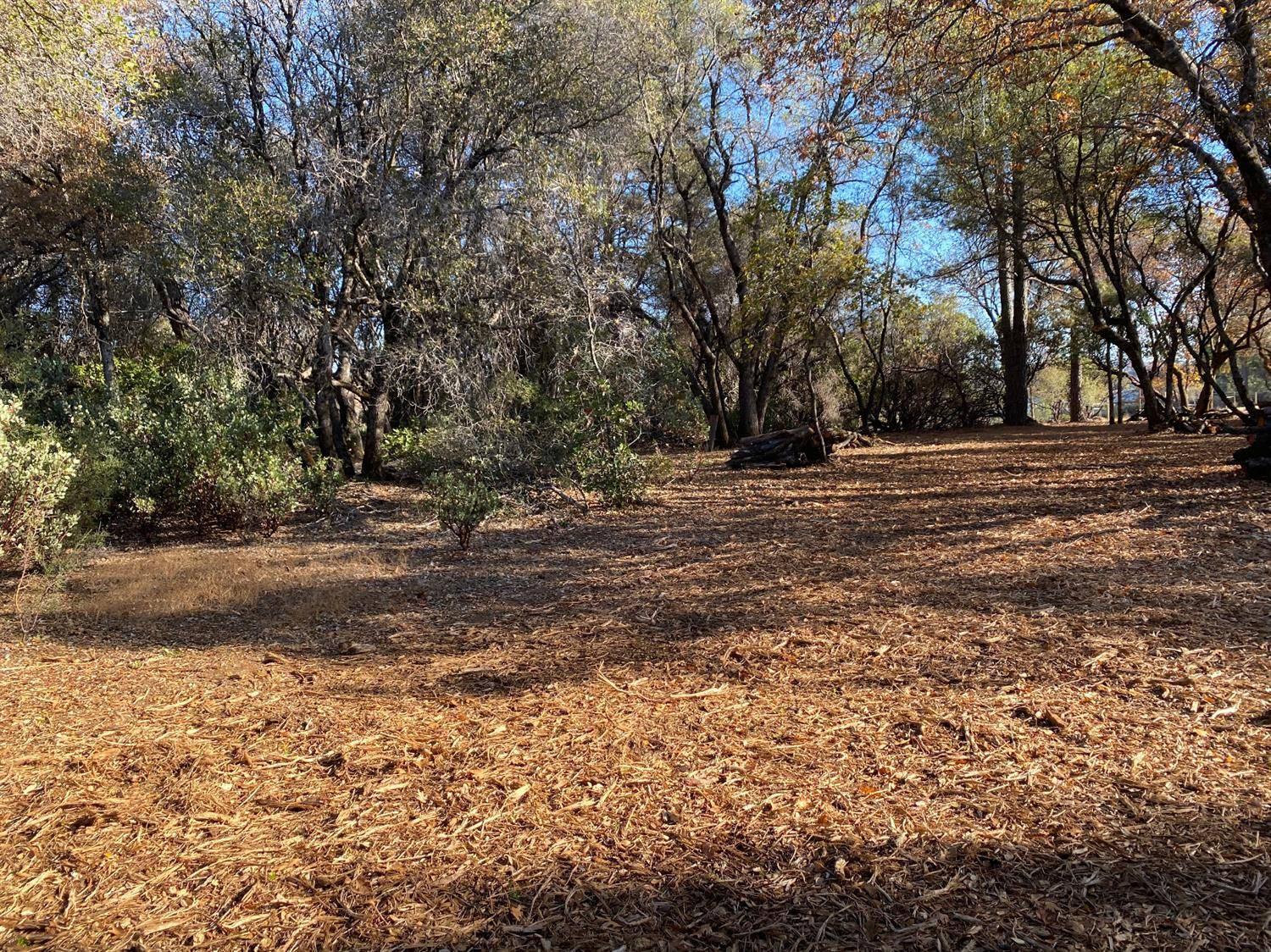 14770 Monte Vista DR, Nevada City, CA 95959