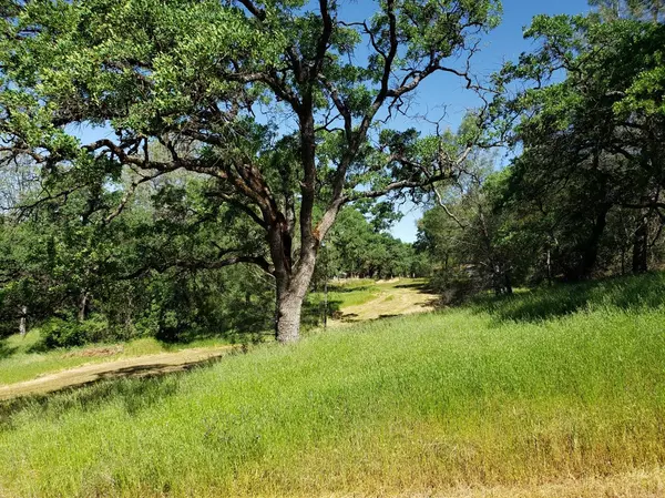 Acres Arrowbee DR, Placerville, CA 95667