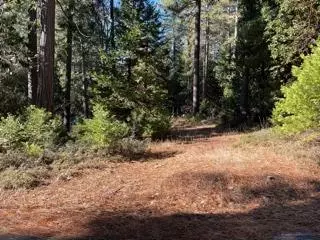 Pioneer, CA 95666,23882 Meadow Crest DR