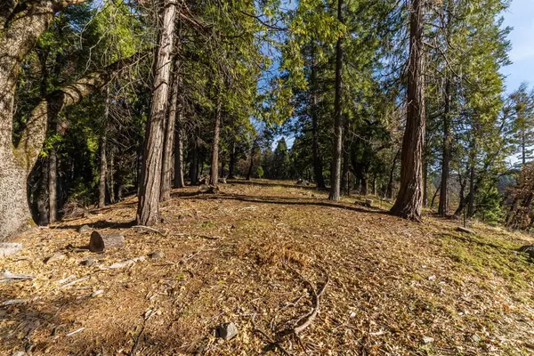 Pollock Pines, CA 95726,0 Spirit Lane