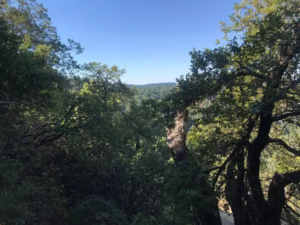 Volcano, CA 95689,19710 Ponderosa Dr