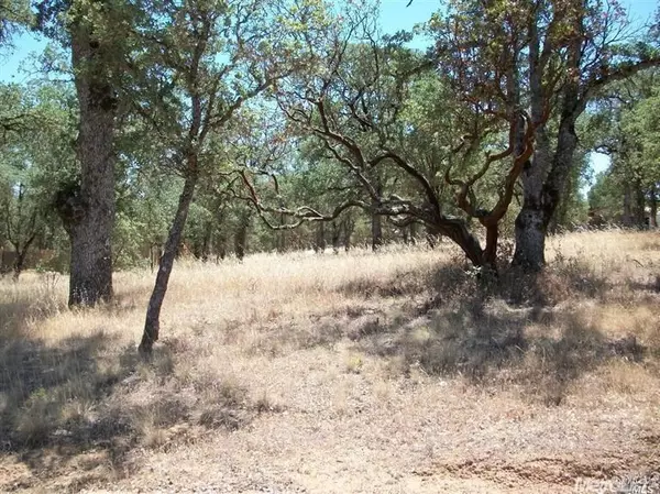 Clearlake, CA 95422,16463 36th AVE