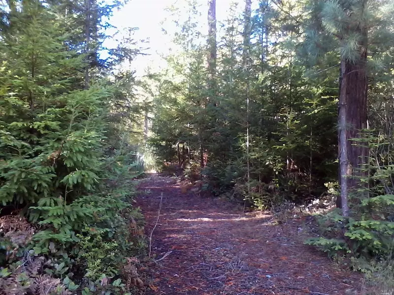 3048 S Albion Ridge H RD, Albion, CA 95410