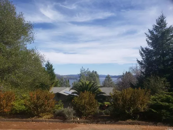 Kelseyville, CA 95451,3601 Fircrest CT