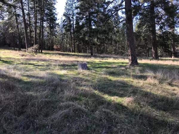 Fiddletown, CA 95629,17057 Tyler RD