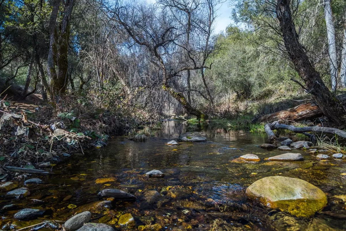 El Dorado, CA 95667,0 10 Ac Little Canyon RD