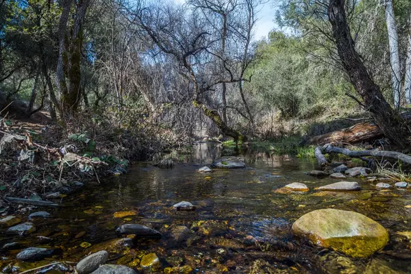 0 10 Ac Little Canyon RD, El Dorado, CA 95667