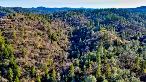 Grass Valley, CA 95949,18703 Dog Bar RD