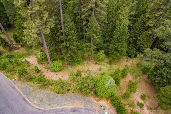 Nevada City, CA 95959,11782 Trish CT