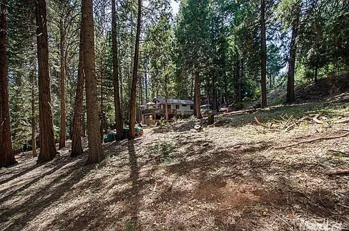 3166 Gold Ridge TRL, Pollock Pines, CA 95726