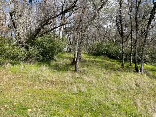 Placerville, CA 95667,0 Gold Strike DR