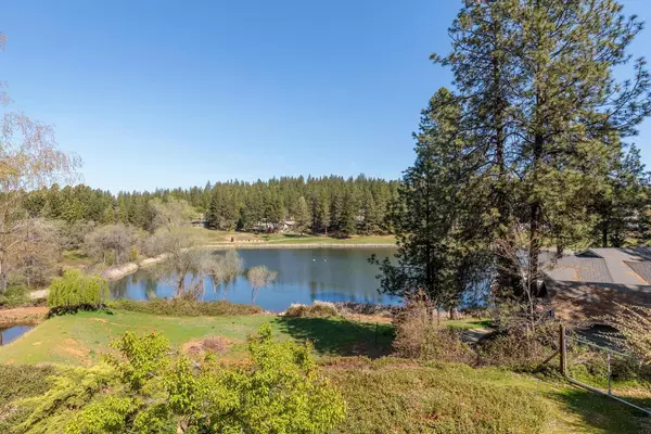 Grass Valley, CA 95949,11684 Tammy WAY