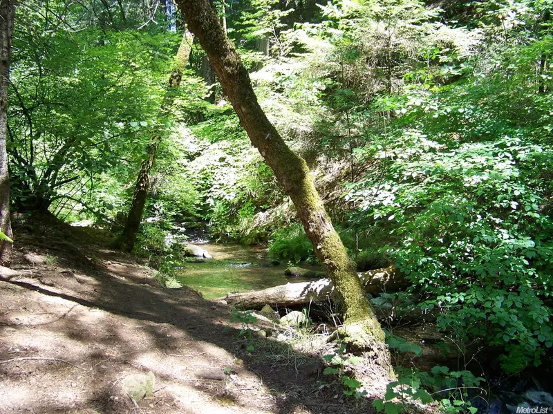 10.89ACS CLEAR CREEK RD, Placerville, CA 95667