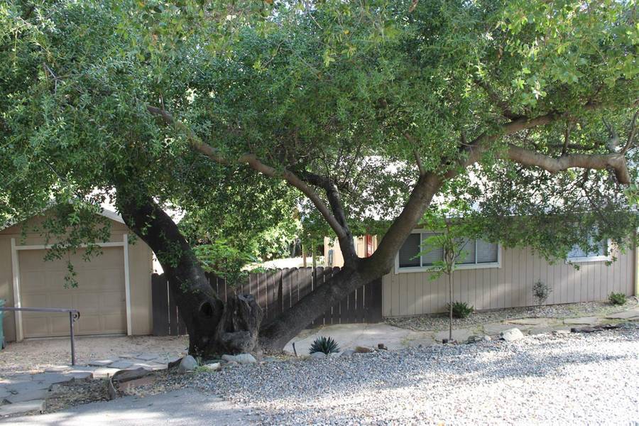 8739 Sunset AVE, Fair Oaks, CA 95628