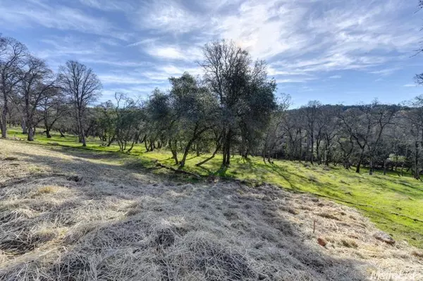 El Dorado Hills, CA 95762,Lot 159 Da Vinci DR