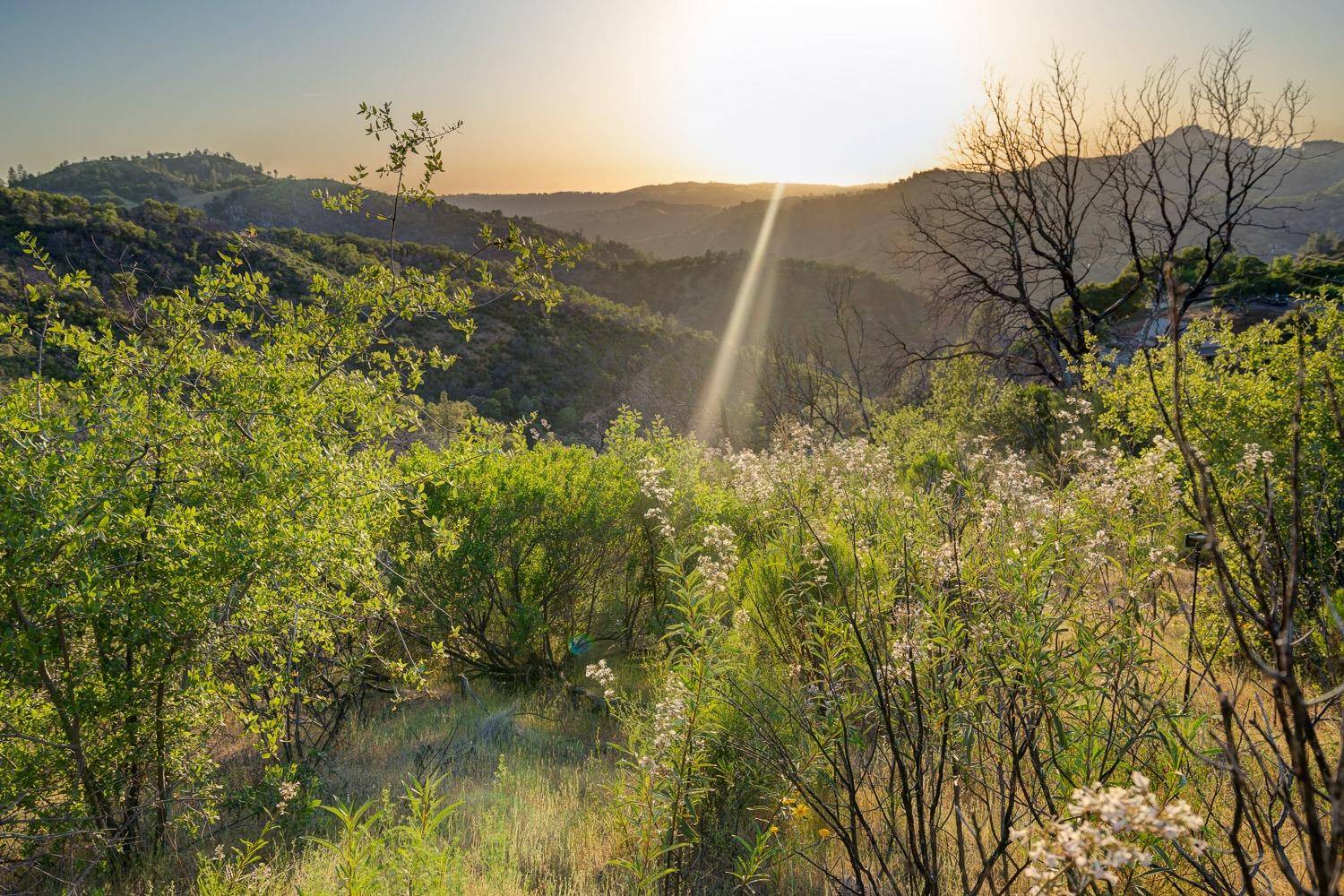 515 Montgomery DR, Mokelumne Hill, CA 95245