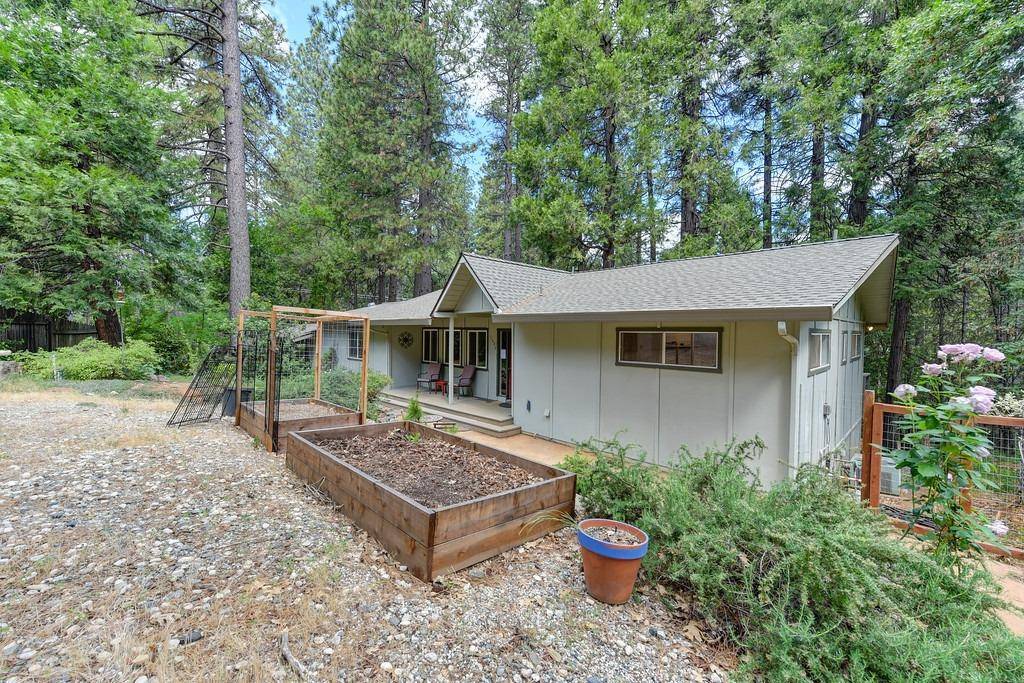 Nevada City, CA 95959,11686 Red Dog RD