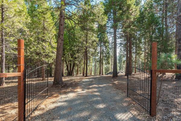 19900 E Pine Drive,  Pioneer,  CA 95666