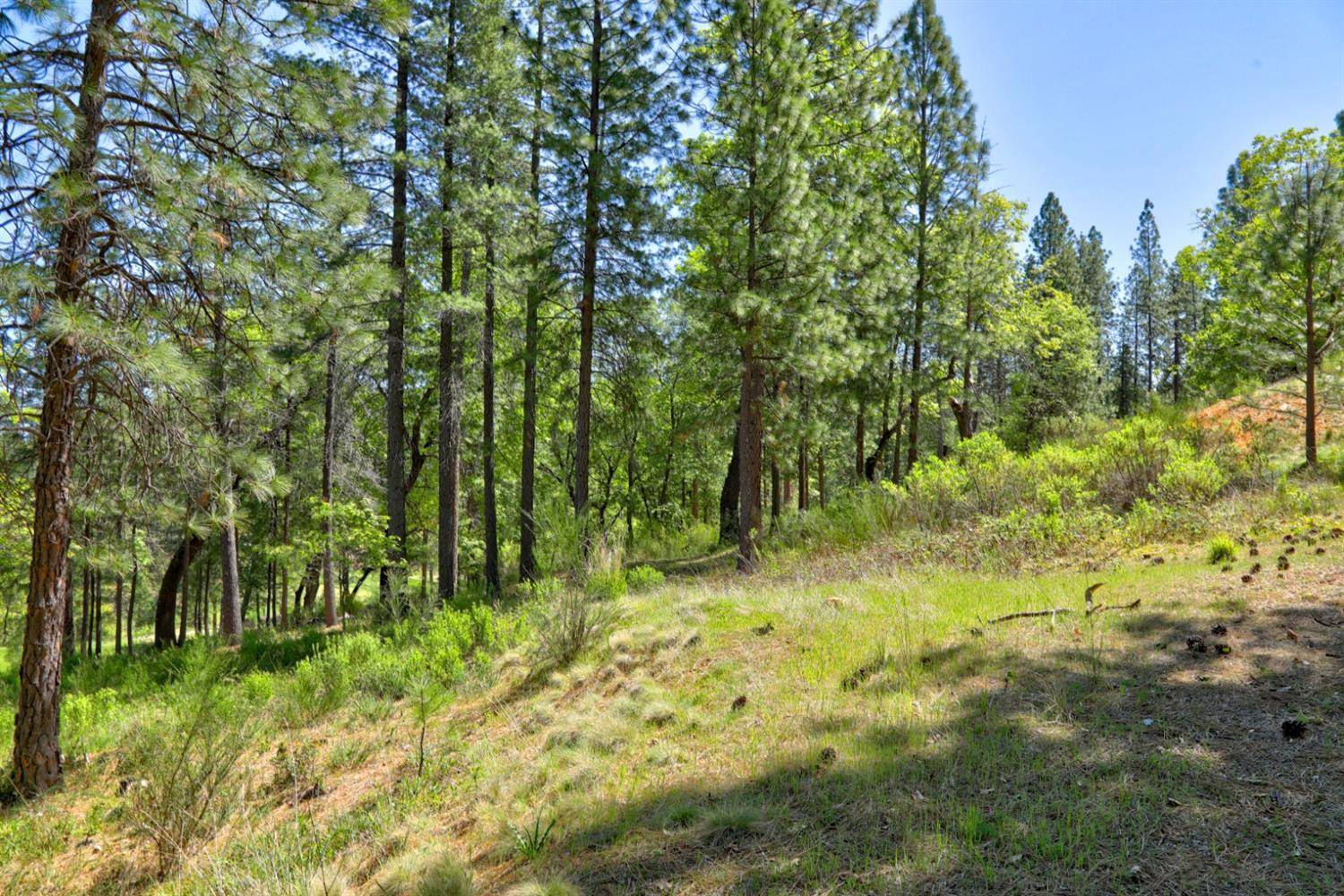Meadow Vista, CA 95722,0 1672 The Point