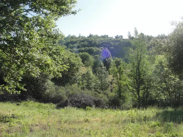 Mountain Ranch, CA 95246,5410 E Old Emigrant TRL