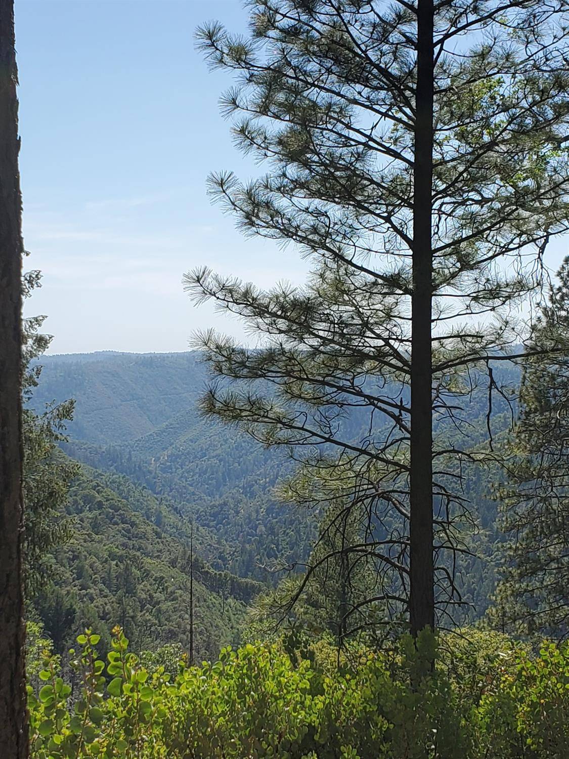0 3820 Bear Ridge Rd, Foresthill, CA 95631