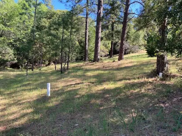 Pine Grove, CA 95665,0 Timber Ridge Road