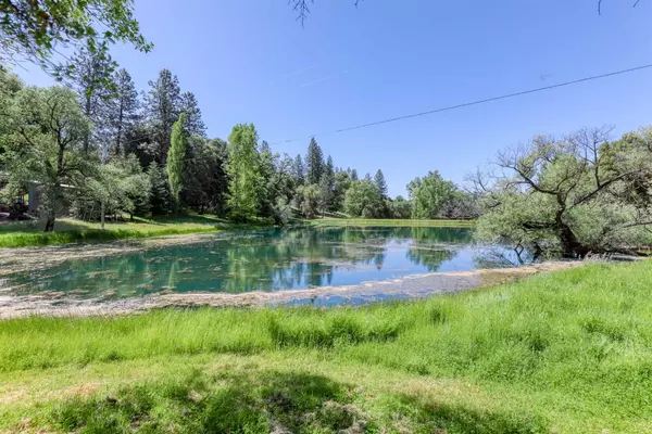 13846 Kurtz RD, Grass Valley, CA 95949