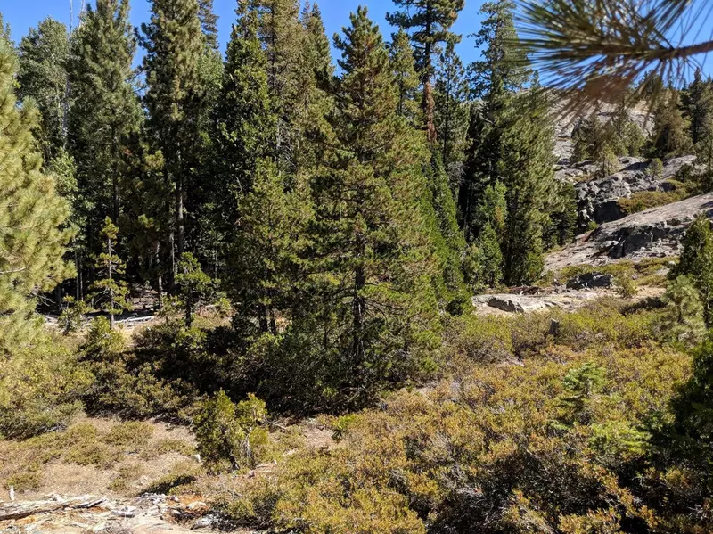 99999 Kelly Lake RD, Emigrant Gap, CA 95715