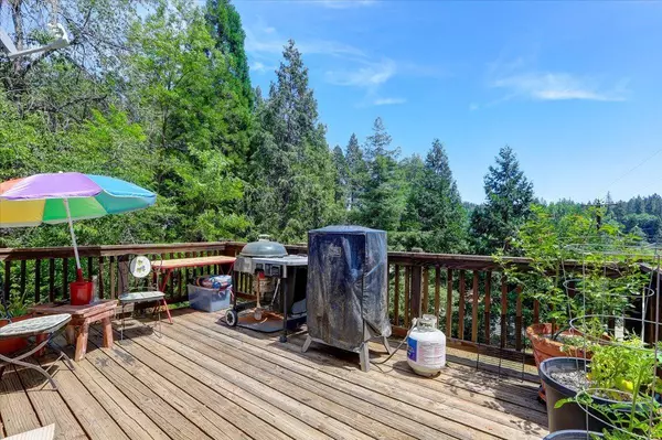 Grass Valley, CA 95945,13615 Forest Park LN