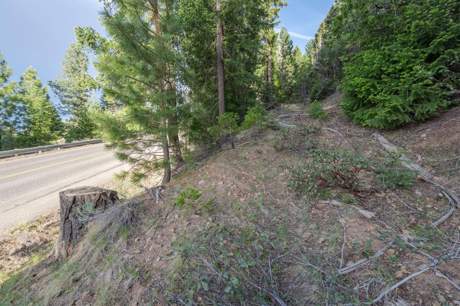 Janesville, CA 96114,459905 Janesville Grade