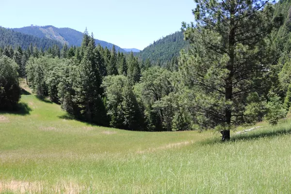 Downieville, CA 95936,0 Lavezzola RD