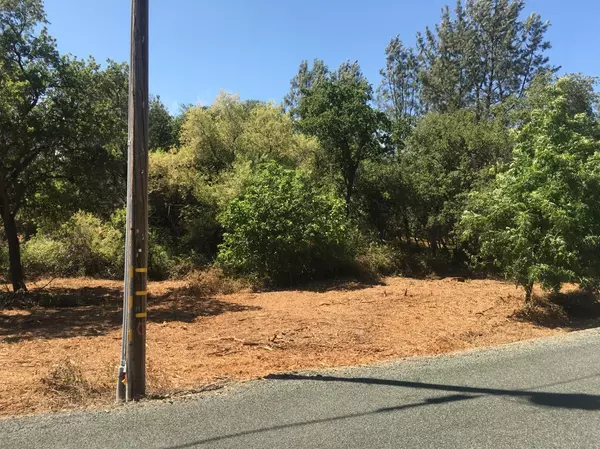 Auburn, CA 95602,4245 Buffalo RD