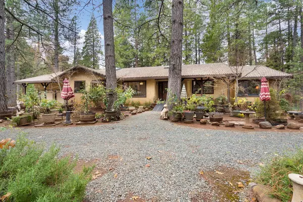 23220 Lark Ln, Volcano, CA 95689