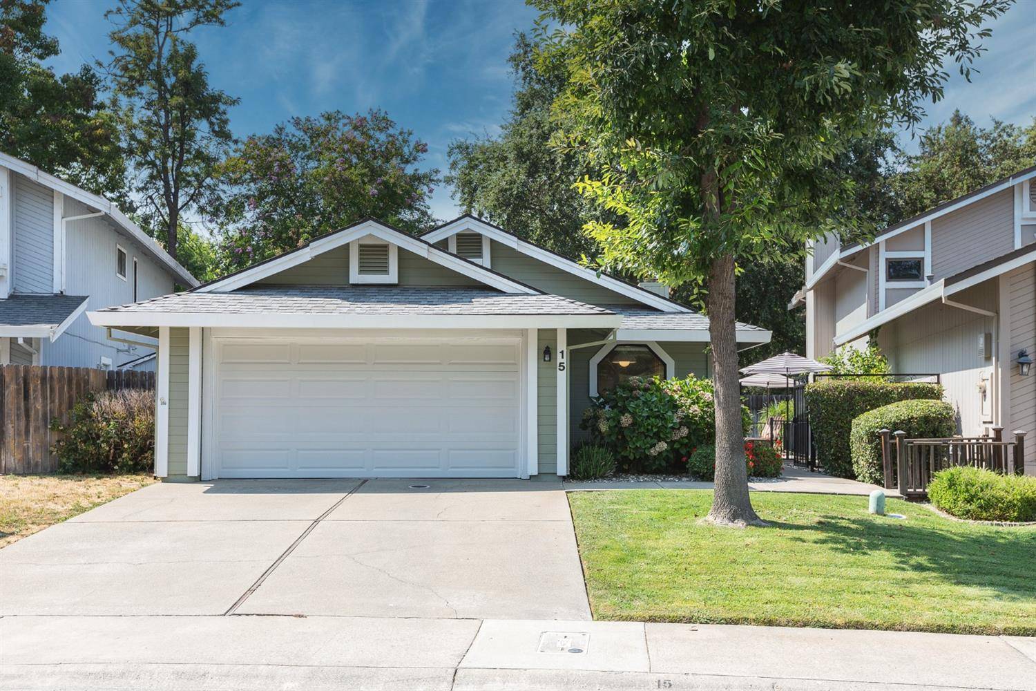 Sacramento, CA 95831,15 Coriander CT