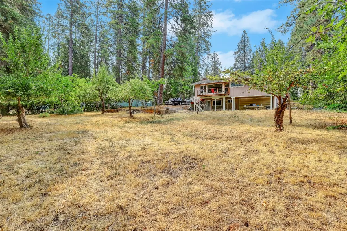 Grass Valley, CA 95945,11146 Alpine