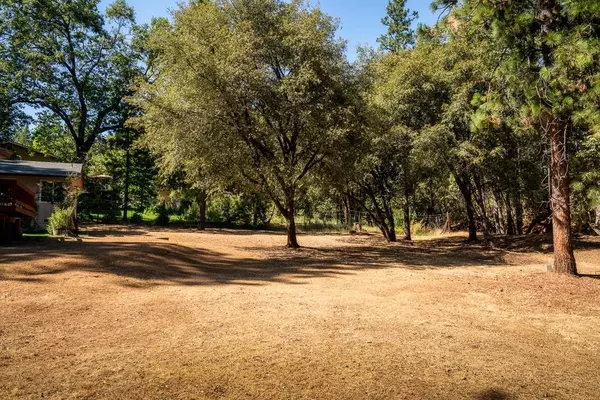 Pine Grove, CA 95665,21351 Robin LN