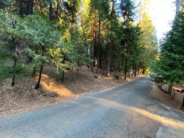 Pollock Pines, CA 95726,2867 Viona RD