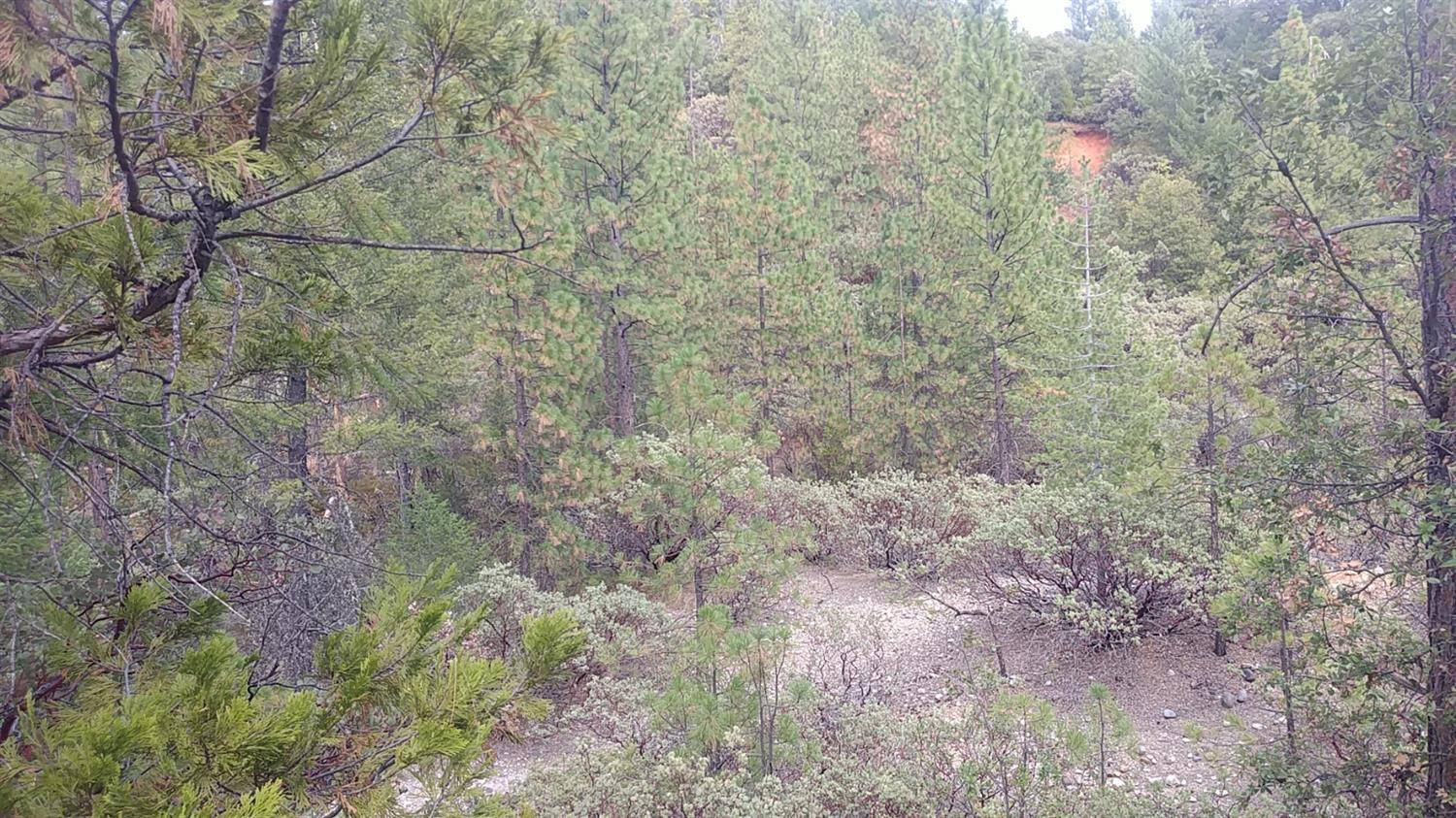 Iowa Hill, CA 95713,Address not disclosed