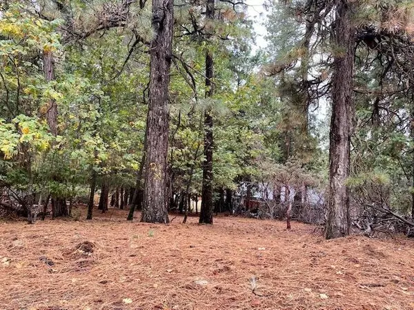 Pollock Pines, CA 95726,5480 Daisy DR