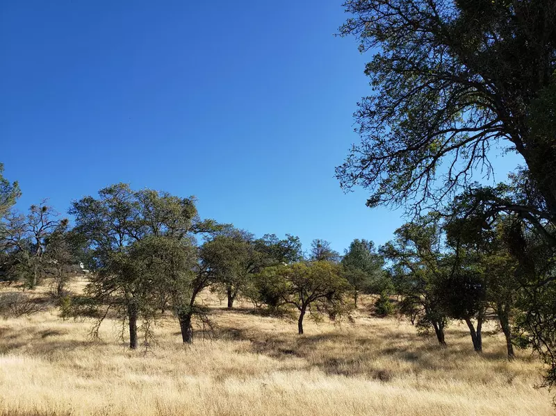 10306 Gusanillo WAY, Coulterville, CA 95311