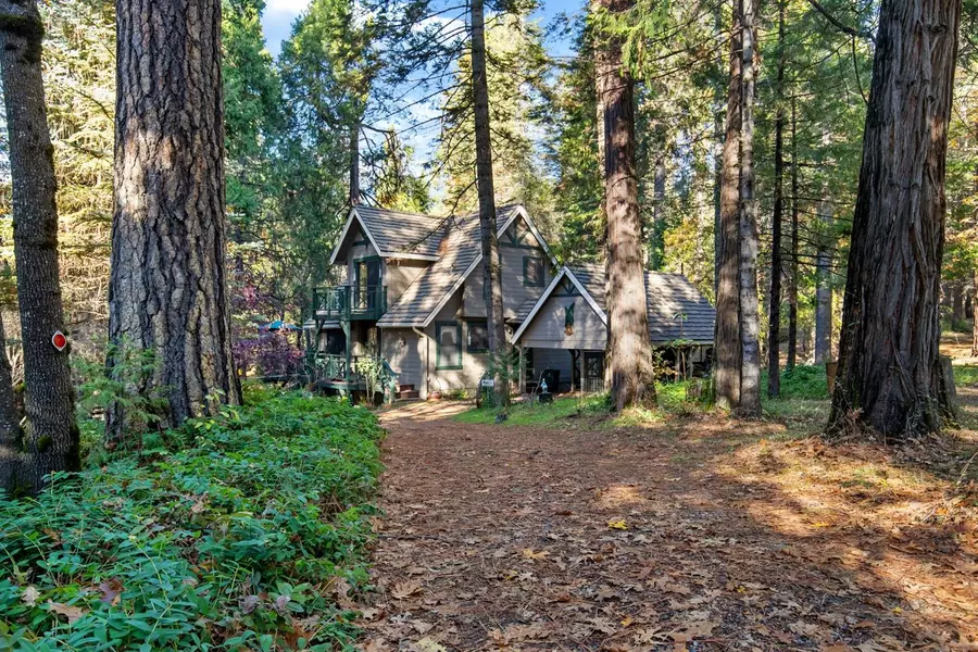 4101 Happy Hollow LN, Camino, CA 95709