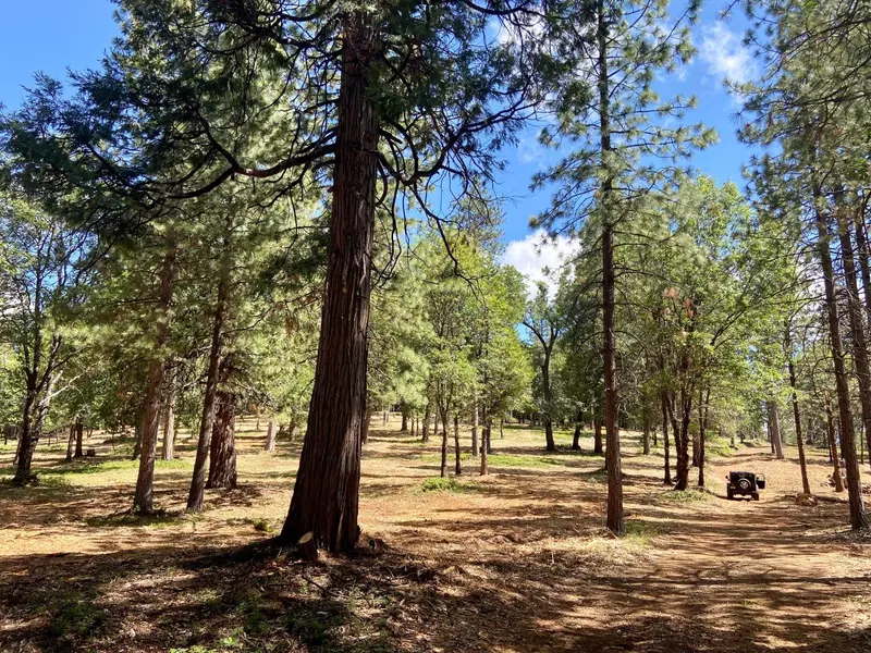 0 Starkes Grade, Pollock Pines, CA 95726