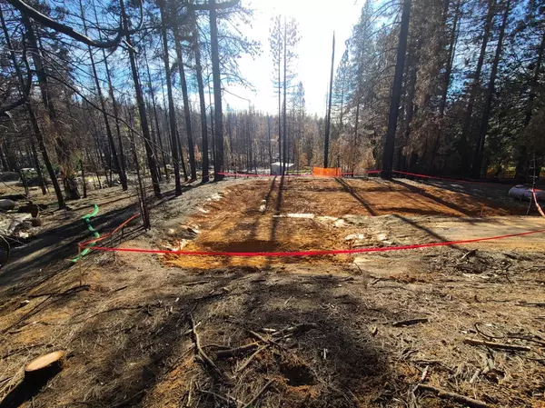 Grizzly Flats, CA 95636,5106 Deerwood DR