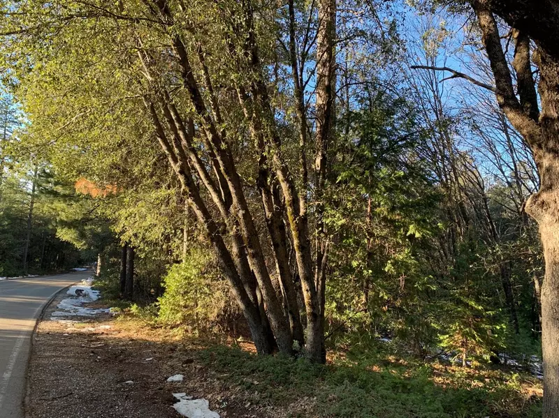 1302 Ridge RD, Mokelumne Hill, CA 95245